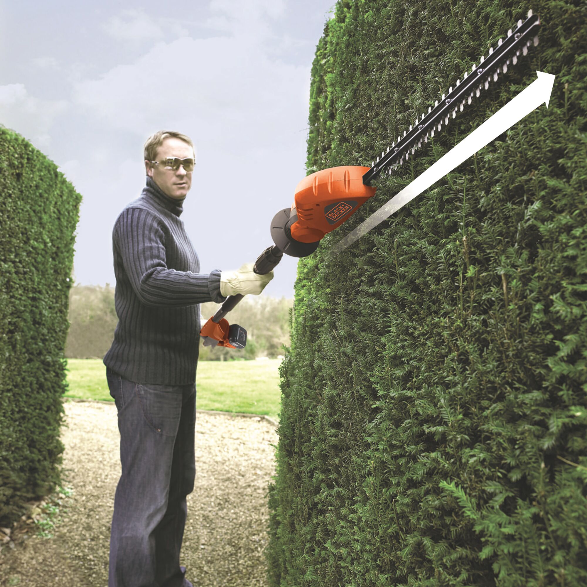 Cordless hedge trimmer on deals a pole